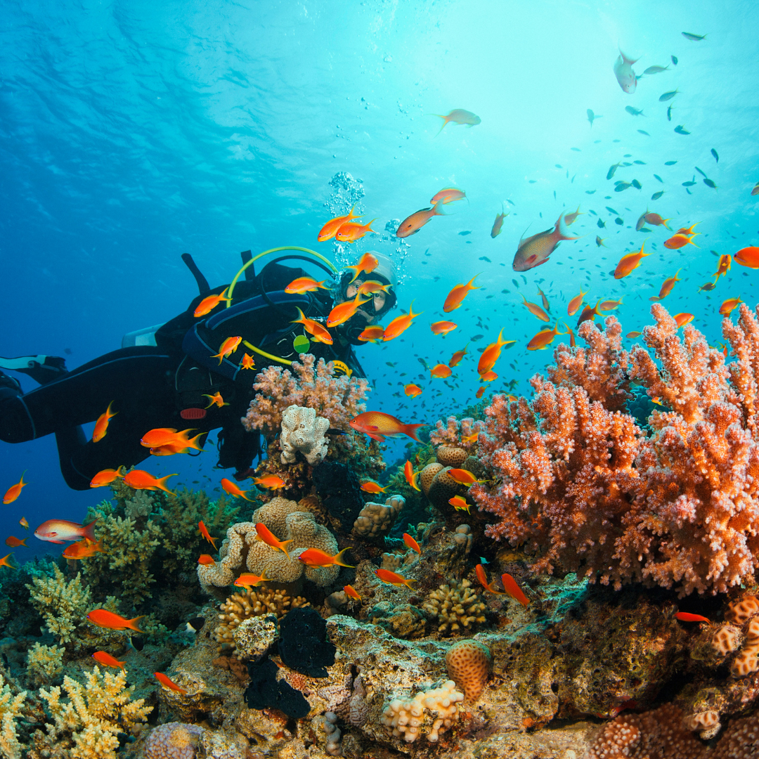 Design sem nome - 2024-08-14T143838.810