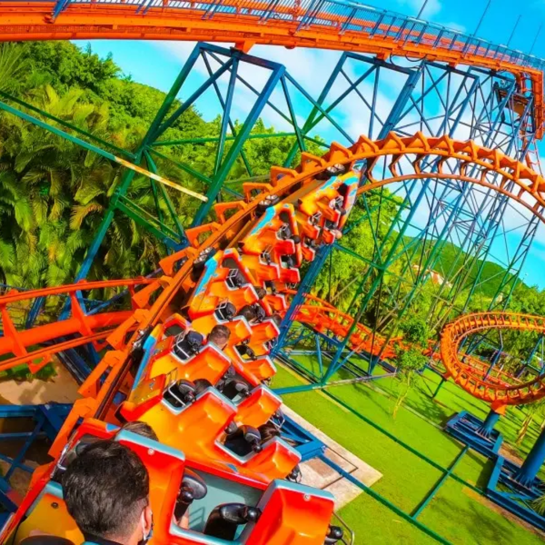 Design sem nome - 2024-08-14T151327.171