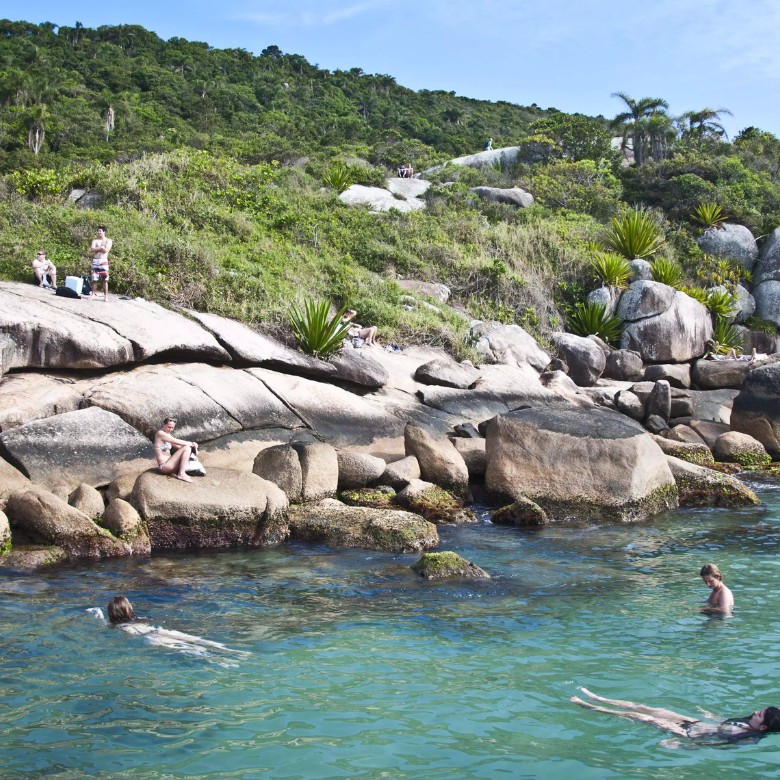 Design sem nome - 2024-08-15T122042.186