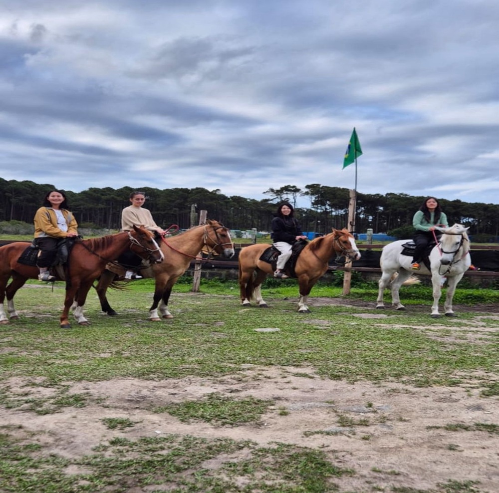 WhatsApp Image 2025-11-14 at 15.22.42